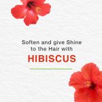 ⁦هيمالايا شامبو ناعم للأطفال - 800 مل⁩ - الصورة ⁦3⁩