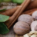 ⁦ناو - زيت القرفة العطري 30 مل⁩ - الصورة ⁦3⁩