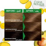 ⁦غارنييه كولور ناتشورالز صبغة شعر - أشقر غامق رمادي 6.1⁩ - الصورة ⁦3⁩