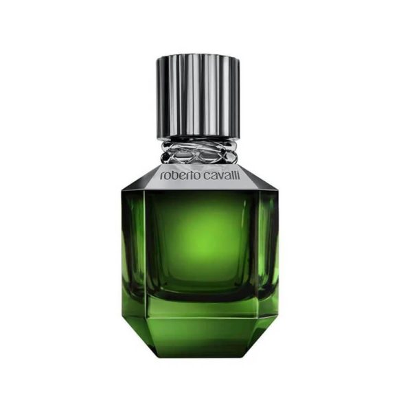 عطر روبرتو كفالي برادايس فوند للرجال - او دى تواليت 75 مل