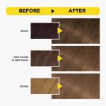 ⁦غارنييه اولیا صبغة شعر خالية من الامونيا - اشقر غامق 7.0⁩ - الصورة ⁦2⁩