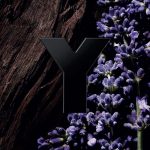 ⁦عطر ايف سان لوران واي للرجال - لي بارفيوم 100 مل⁩ - الصورة ⁦4⁩