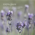 ⁦ناو زيت اللافندر العطري - 30مل⁩ - الصورة ⁦7⁩