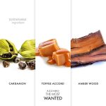 ⁦عطر ازارو ذا موست وانتد للرجال - او دى بارفيوم انتنس 100 مل⁩ - الصورة ⁦6⁩