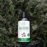 ⁦بيتال فرش شامبو علاج فروة الرأس بخلاصة شجرة الشاي 475 مل⁩ - الصورة ⁦2⁩