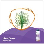 ⁦هيمالايا بودرة أطفال بالزيتون واللوز - 200 جم⁩ - الصورة ⁦2⁩