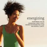 ⁦ناو زيت النعناع العطري - 30 مل⁩ - الصورة ⁦2⁩