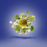 ⁦عطر زيرجوف تورينو 23 - او دى بارفيوم 50 مل⁩ - الصورة ⁦3⁩