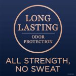 ⁦سيكرت مزيل عرق ستيك لافندر + أوكالبتوس حماية 48 ساعة - 73 جم⁩ - الصورة ⁦4⁩