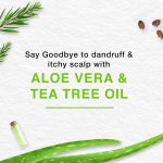 ⁦هيمالايا شامبو ضد القشرة للتلطيف والترطيب بشجرة الشاي والصبار 2×400مل⁩ - الصورة ⁦3⁩