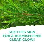 ⁦سانت ايفز ماء ميسيلار بخلاصة شجرة الشاي 400 مل⁩ - الصورة ⁦4⁩