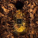 ⁦عطر اتيلير دي اورس بويز سيكار - او دى بارفيوم 100 مل⁩ - الصورة ⁦3⁩