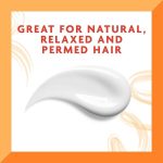 ⁦كانتو مرطب الزيت اليومي للشعر بزبدة الشيا 384 مل⁩ - الصورة ⁦4⁩