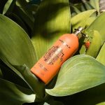 ⁦عطر مونتال باريس هولي نيرولي - او دى بارفيوم 100 مل⁩ - الصورة ⁦4⁩