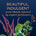 ⁦سيكرت مزيل عرق ستيك لافندر + أوكالبتوس حماية 48 ساعة - 73 جم⁩ - الصورة ⁦6⁩