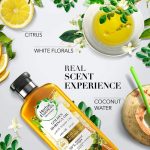 ⁦هيربل اسينسز بلسم  زيت مورينغا الذهبي - 400 مل⁩ - الصورة ⁦4⁩