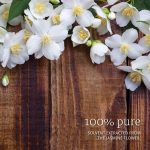 ⁦ناو - زيت الياسمين العطري 30 مل⁩ - الصورة ⁦2⁩