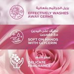 ⁦لوكس صابون سائل معطر الورد الناعم 250 مل⁩ - الصورة ⁦3⁩