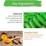 ⁦هيمالايا غسول النيم و الكركم الرغوي لتنقية الوجه - 150 مل⁩ - الصورة ⁦2⁩