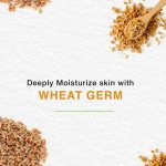 ⁦هيمالايا كريم ترطيب مركز بنواة القمح واللوز الحلو عرض خاص 2×150 مل⁩ - الصورة ⁦3⁩