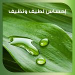 سنسوداين نورش بياض صحي