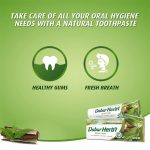 ⁦دابر هيربال معجون أسنان بالنيم الطبيعي مع فرشاة مجاناً - 150 جم⁩ - الصورة ⁦4⁩