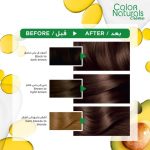 ⁦غارنييه كولور ناتشورالز صبغة شعر - بني فاتح 5⁩ - الصورة ⁦4⁩