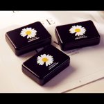 ⁦هنج فانج مجموعة احمر شفاه ديزي ميك اب ستيك 5 لون رقم 9106A⁩ - الصورة ⁦7⁩