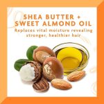 ⁦كانتو كريم لتقوية وعلاج الشعر جرو سترونج بزبدة الشيا - 173جم⁩ - الصورة ⁦2⁩