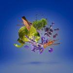 ⁦عطر زيرجوف كاساموراتي 1888 مفيستو جنتلومو - او دى بارفيوم 100 مل⁩ - الصورة ⁦3⁩