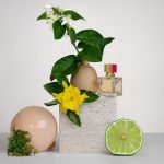 ⁦عطر فالنتينو فوتشي فيفا للنساء - او دى بارفيوم 100 مل⁩ - الصورة ⁦4⁩