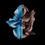 ⁦عطر جيفنشي جنتل مان انتنس للرجال - او دى تواليت 100 مل⁩ - الصورة ⁦3⁩