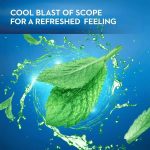 ⁦فيل كول شرائح معطره للفم بنكهة النعناع⁩ - الصورة ⁦2⁩