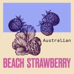 ⁦اوسي بلسم العناية المركزة خلال 3 دقائق 250 مل⁩ - الصورة ⁦4⁩