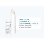 ⁦بيوديرما مرطب شفاة ستيك أتوديرم - 4 جم⁩ - الصورة ⁦4⁩