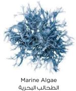 ⁦لوريال باريس قناع الطين النقي يزيل الرؤوس السوداء 50 مل⁩ - الصورة ⁦3⁩