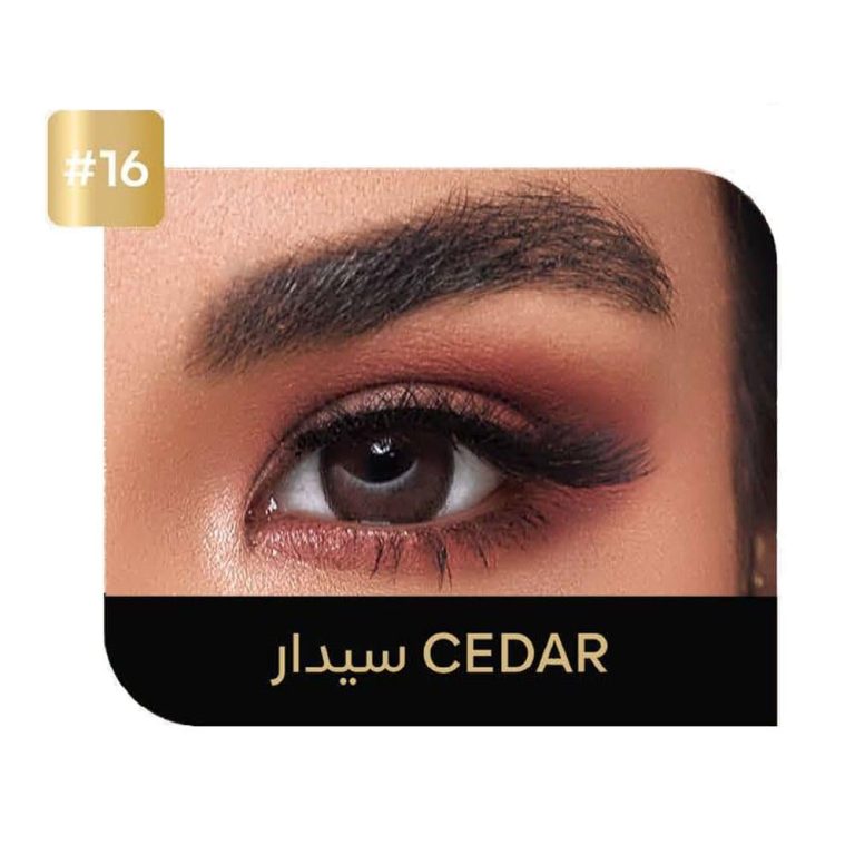 عدسات ايكو لنس يومية سيدار