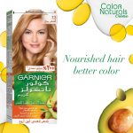 ⁦غارنييه كولور ناتشورالز صبغة شعر - أشقر بيج 7.3⁩ - الصورة ⁦3⁩