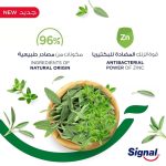 ⁦سيجنال معجون أسنان المتكامل 8 بالأعشاب - 75 مل⁩ - الصورة ⁦4⁩