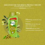 ⁦فاتيكا شامبو يغذي ويحمي بالزيتون والحناء للشعر العادي - 700 مل⁩ - الصورة ⁦5⁩