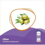 ⁦هيمالايا بودرة أطفال بالزيتون واللوز - 200 جم⁩ - الصورة ⁦5⁩