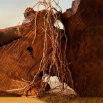 ⁦عطر بولغاري مان تيرا ايسنس للرجال - او دى بارفيوم 100 مل⁩ - الصورة ⁦5⁩