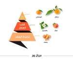 ⁦عطر الماجد للعود ميرال روج للنساء - او دى بارفيوم 75 مل⁩ - الصورة ⁦4⁩