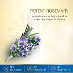 ⁦اعشاب الهند زيت الشعر بإكليل الجبل و 7 بذور - 180 مل⁩ - الصورة ⁦2⁩