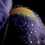 ⁦عطر كلايف كريستيان اوريجنال كوليكشن اكس ماسكولان للرجال - 100 مل⁩ - الصورة ⁦9⁩