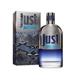 ⁦عطر روبرتو كافالي جست كافالي للرجال - او دى تواليت 90 مل⁩ - الصورة ⁦2⁩