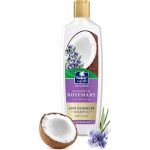 ⁦باراشوت شامبو ضد القشرة بخلاصة جوز الهند وإكليل الجبل - 340 مل⁩ - الصورة ⁦2⁩