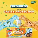 ⁦دابر الأعشاب معجون أسنان جل القرنفل المتطور مع فرشاة - 150 جم⁩ - الصورة ⁦2⁩