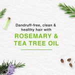 ⁦هيمالايا شامبو ضد القشرة للتنظيف اللطيف للشعر 400 مل⁩ - الصورة ⁦2⁩