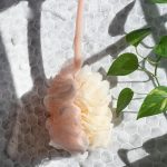 ⁦ايكوتولز فرشاة إستحمام 2 في 1 7622⁩ - الصورة ⁦3⁩